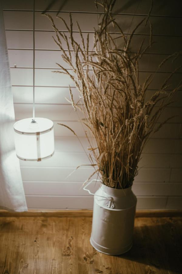 Viesu Maja Kalnaruski Ape Extérieur photo