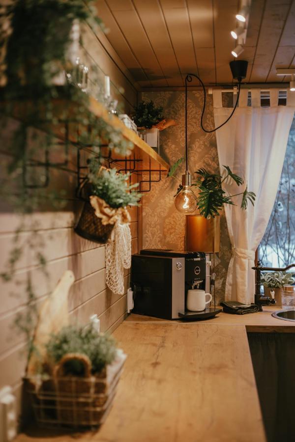 Viesu Maja Kalnaruski Ape Extérieur photo